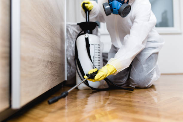Best Pest Removal Services  in Poydras, LA