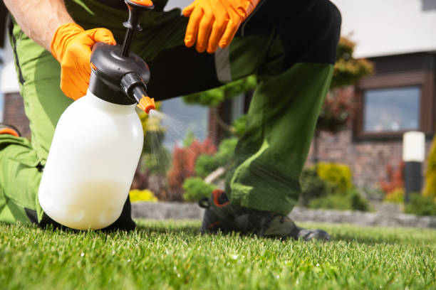 Best Pest Control Near Me in Poydras, LA