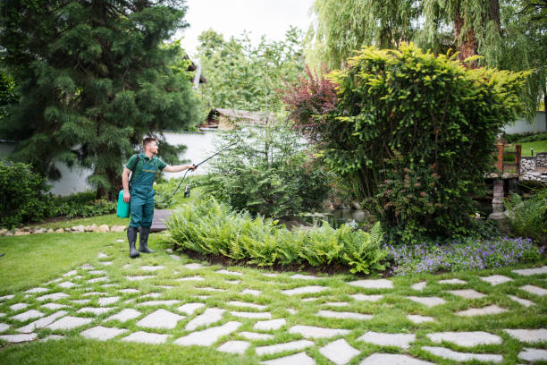 Best Pest Removal Services  in Poydras, LA