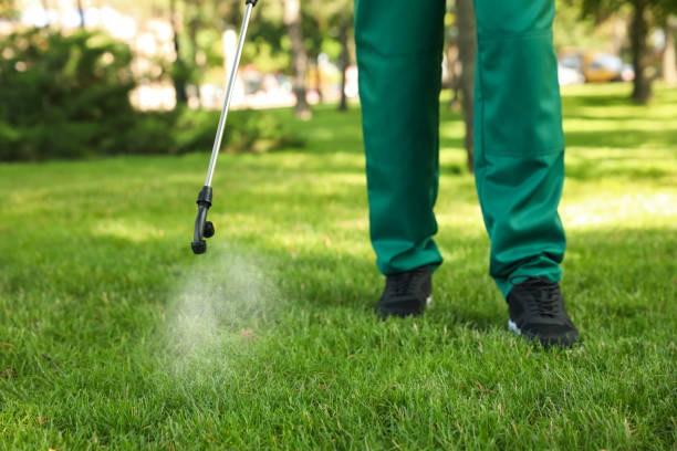 Best Flea Control Services  in Poydras, LA