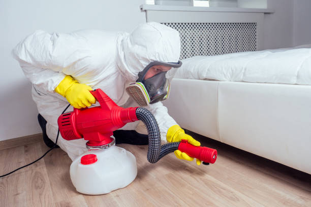Best Best Pest Control Companies  in Poydras, LA