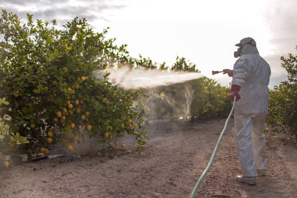 Best Local Pest Control Services  in Poydras, LA