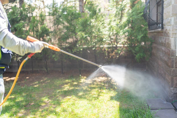 Best Bird Control  in Poydras, LA