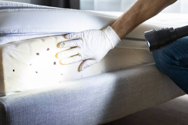 Best Bed Bug Extermination  in Poydras, LA