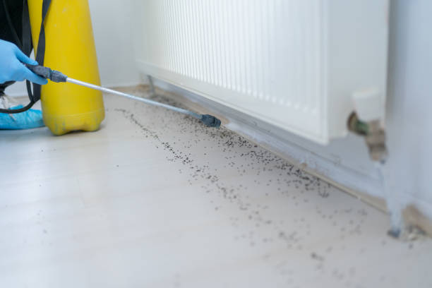 Best Pest Prevention Services  in Poydras, LA