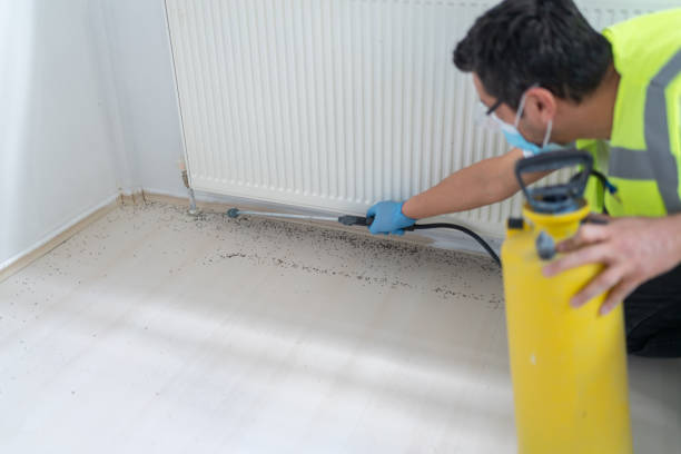 Best Pest Inspection Near Me  in Poydras, LA