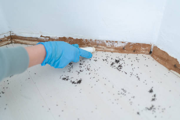 Best Cockroach Control Services  in Poydras, LA