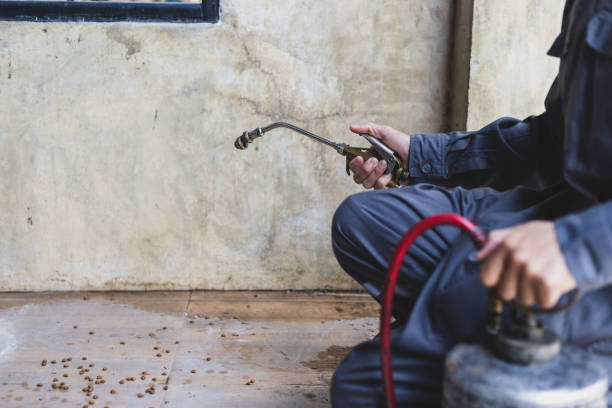 Best Mosquito Control Services  in Poydras, LA